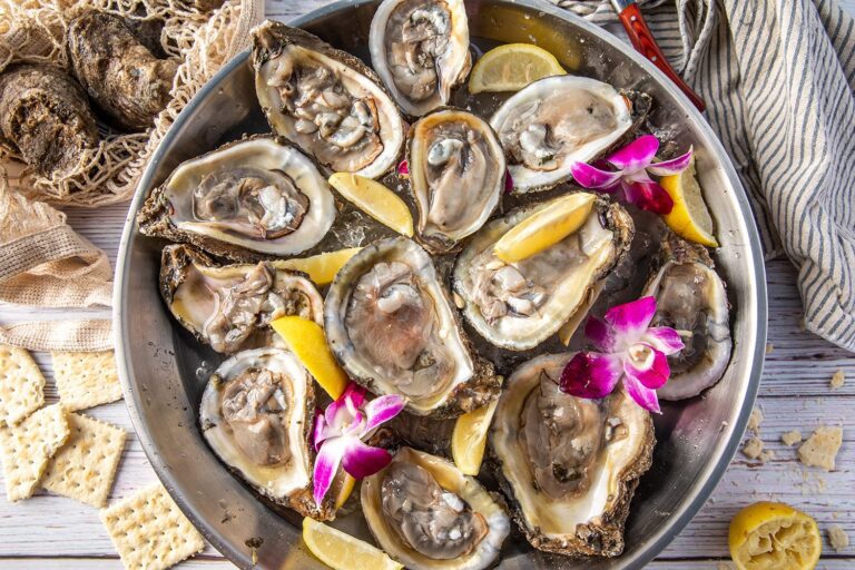 oysters